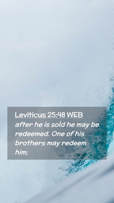 Picture 02 - Leviticus 25:48 WEB Mobile Phone Wallpaper - after he is sold he may be redeemed. One of his - Mobile Bible Verse Wallpaper