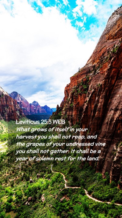 Picture 02 - Leviticus 25:5 WEB Mobile Phone Wallpaper - What grows of itself in your harvest you shall - Mobile Bible Verse Wallpaper