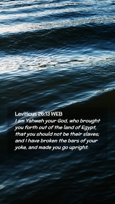 Picture 02 - Leviticus 26:13 WEB Mobile Phone Wallpaper - I am Yahweh your God, who brought you forth out - Mobile Bible Verse Wallpaper
