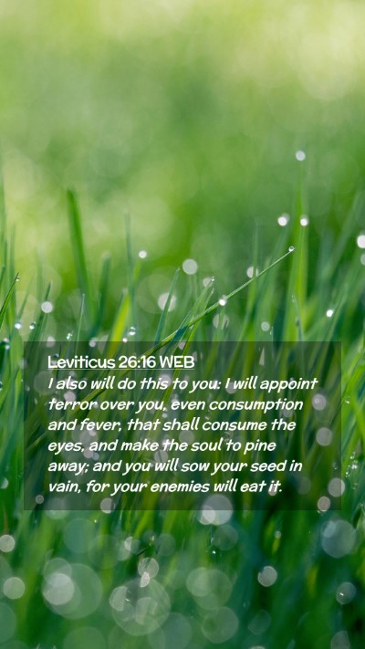Picture 02 - Leviticus 26:16 WEB Mobile Phone Wallpaper - I also will do this to you: I will appoint terror - Mobile Bible Verse Wallpaper