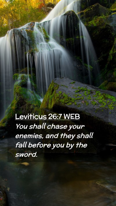 Picture 02 - Leviticus 26:7 WEB Mobile Phone Wallpaper - You shall chase your enemies, and they shall fall - Mobile Bible Verse Wallpaper