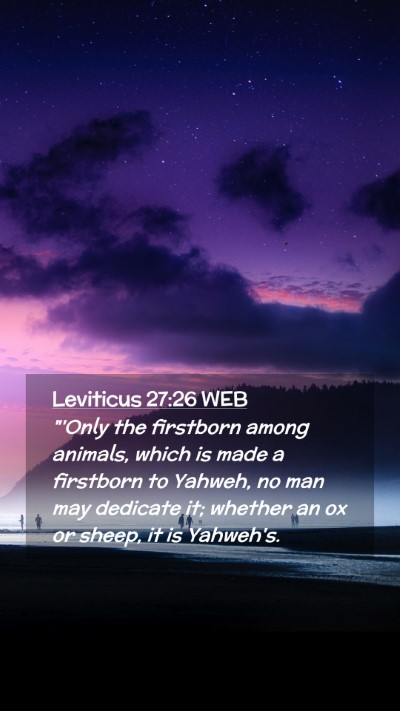 Picture 02 - Leviticus 27:26 WEB Mobile Phone Wallpaper - 