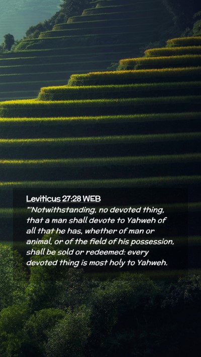 Picture 02 - Leviticus 27:28 WEB Mobile Phone Wallpaper - 