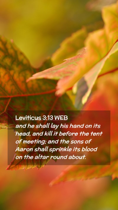 Picture 02 - Leviticus 3:13 WEB Mobile Phone Wallpaper - and he shall lay his hand on its head, and kill - Mobile Bible Verse Wallpaper