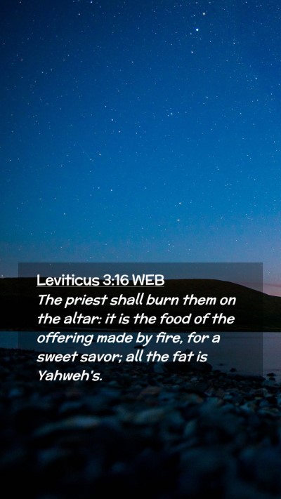 Picture 02 - Leviticus 3:16 WEB Mobile Phone Wallpaper - The priest shall burn them on the altar: it is - Mobile Bible Verse Wallpaper