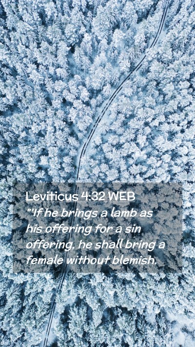 Picture 02 - Leviticus 4:32 WEB Mobile Phone Wallpaper - 