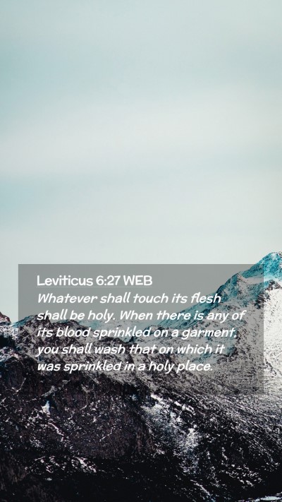 Picture 02 - Leviticus 6:27 WEB Mobile Phone Wallpaper - Whatever shall touch its flesh shall be holy. - Mobile Bible Verse Wallpaper