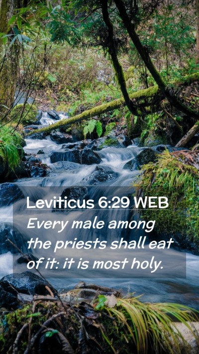 Picture 02 - Leviticus 6:29 WEB Mobile Phone Wallpaper - Every male among the priests shall eat of it: it - Mobile Bible Verse Wallpaper