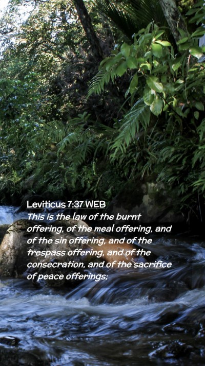 Picture 02 - Leviticus 7:37 WEB Mobile Phone Wallpaper - This is the law of the burnt offering, of the - Mobile Bible Verse Wallpaper