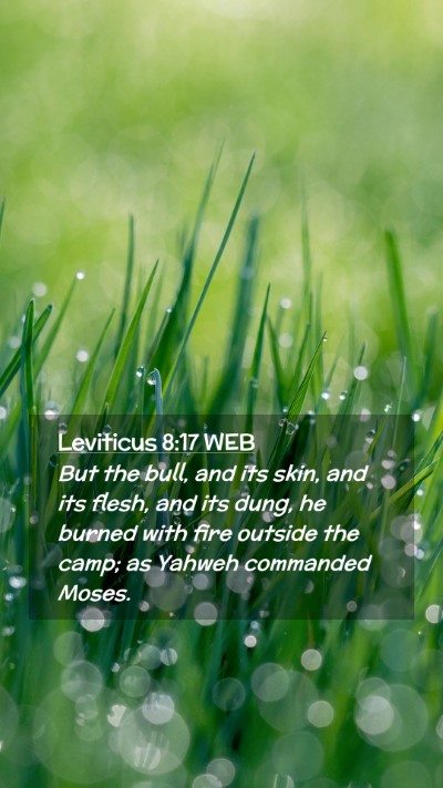 Picture 02 - Leviticus 8:17 WEB Mobile Phone Wallpaper - But the bull, and its skin, and its flesh, and - Mobile Bible Verse Wallpaper
