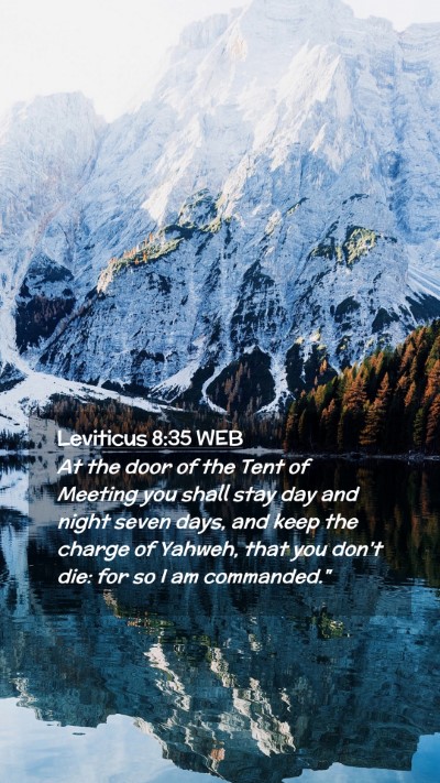 Picture 02 - Leviticus 8:35 WEB Mobile Phone Wallpaper - At the door of the Tent of Meeting you shall stay - Mobile Bible Verse Wallpaper