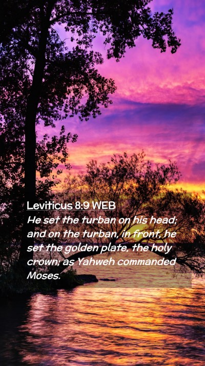 Picture 02 - Leviticus 8:9 WEB Mobile Phone Wallpaper - He set the turban on his head; and on the turban, - Mobile Bible Verse Wallpaper