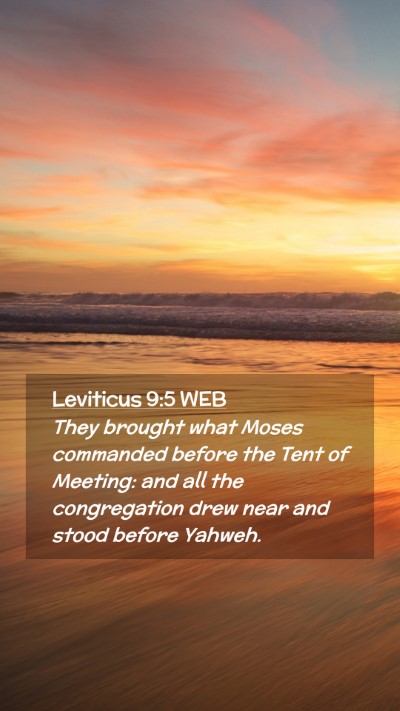 Picture 02 - Leviticus 9:5 WEB Mobile Phone Wallpaper - They brought what Moses commanded before the Tent - Mobile Bible Verse Wallpaper