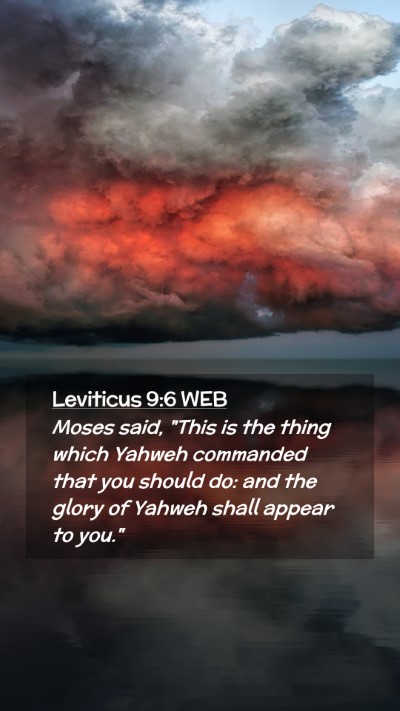 Picture 02 - Leviticus 9:6 WEB Mobile Phone Wallpaper - Moses said, 