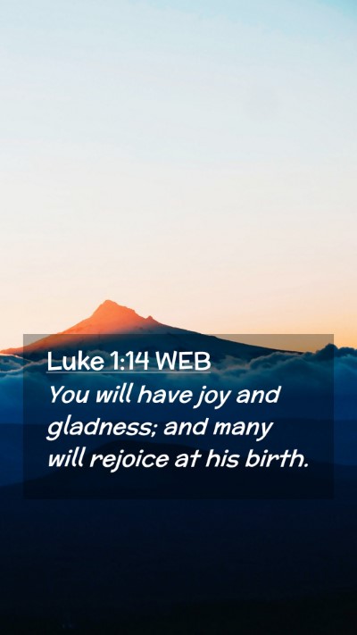 Picture 02 - Luke 1:14 WEB Mobile Phone Wallpaper - You will have joy and gladness; and many will - Mobile Bible Verse Wallpaper