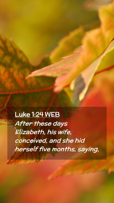 Picture 02 - Luke 1:24 WEB Mobile Phone Wallpaper - After these days Elizabeth, his wife, conceived, - Mobile Bible Verse Wallpaper