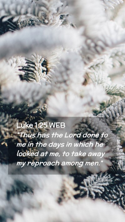 Picture 02 - Luke 1:25 WEB Mobile Phone Wallpaper - 