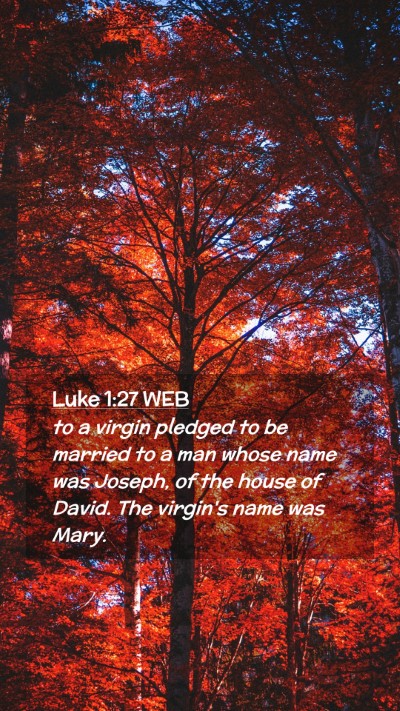 Picture 02 - Luke 1:27 WEB Mobile Phone Wallpaper - to a virgin pledged to be married to a man whose - Mobile Bible Verse Wallpaper