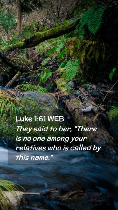 Picture 02 - Luke 1:61 WEB Mobile Phone Wallpaper - They said to her, 