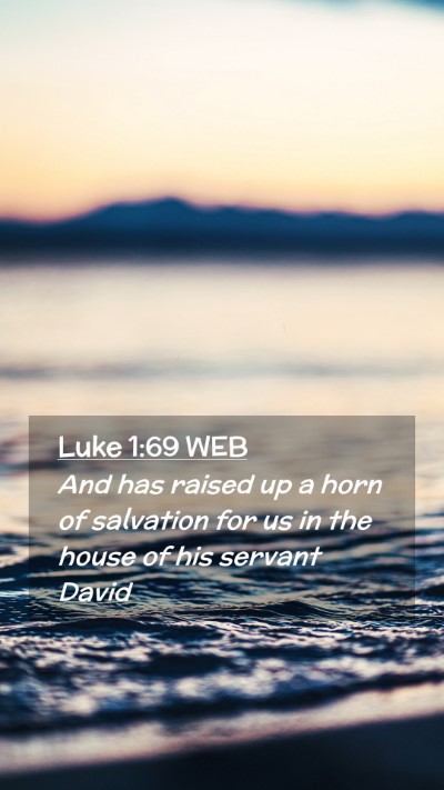 Picture 02 - Luke 1:69 WEB Mobile Phone Wallpaper - And has raised up a horn of salvation for us in - Mobile Bible Verse Wallpaper