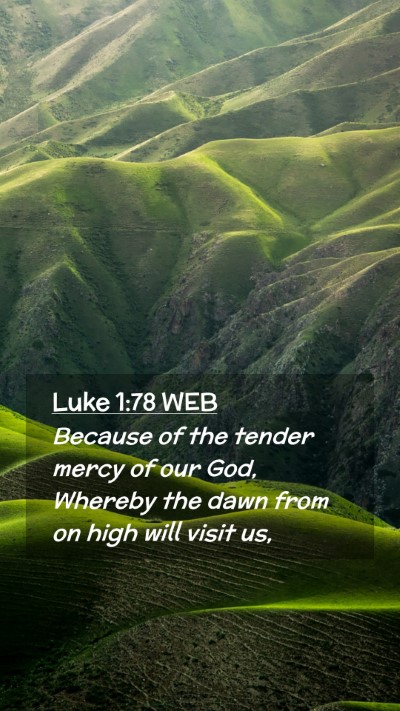 Picture 02 - Luke 1:78 WEB Mobile Phone Wallpaper - Because of the tender mercy of our God, Whereby - Mobile Bible Verse Wallpaper