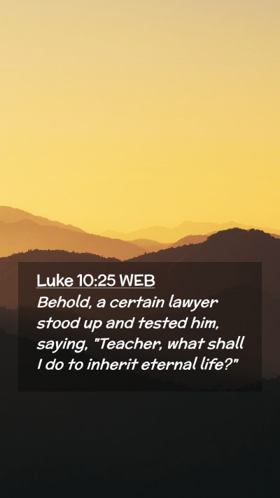 Picture 02 - Luke 10:25 WEB Mobile Phone Wallpaper - Behold, a certain lawyer stood up and tested him, - Mobile Bible Verse Wallpaper