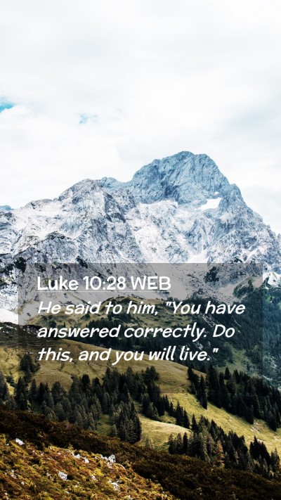 Picture 02 - Luke 10:28 WEB Mobile Phone Wallpaper - He said to him, 