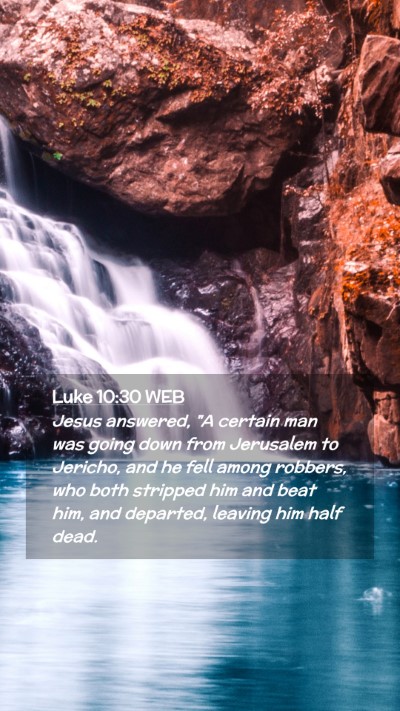 Picture 02 - Luke 10:30 WEB Mobile Phone Wallpaper - Jesus answered, 