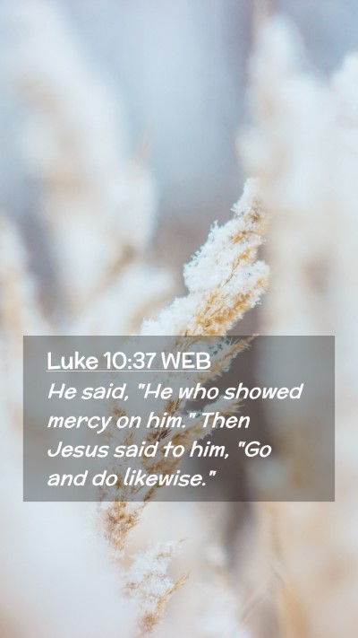 Picture 02 - Luke 10:37 WEB Mobile Phone Wallpaper - He said, 
