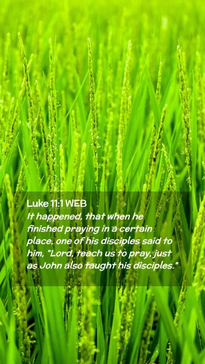 Picture 02 - Luke 11:1 WEB Mobile Phone Wallpaper - It happened, that when he finished praying in a - Mobile Bible Verse Wallpaper