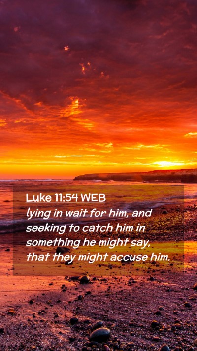 Picture 02 - Luke 11:54 WEB Mobile Phone Wallpaper - lying in wait for him, and seeking to catch him - Mobile Bible Verse Wallpaper