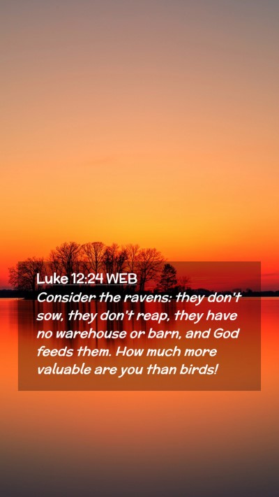 Picture 02 - Luke 12:24 WEB Mobile Phone Wallpaper - Consider the ravens: they don't sow, they don't - Mobile Bible Verse Wallpaper