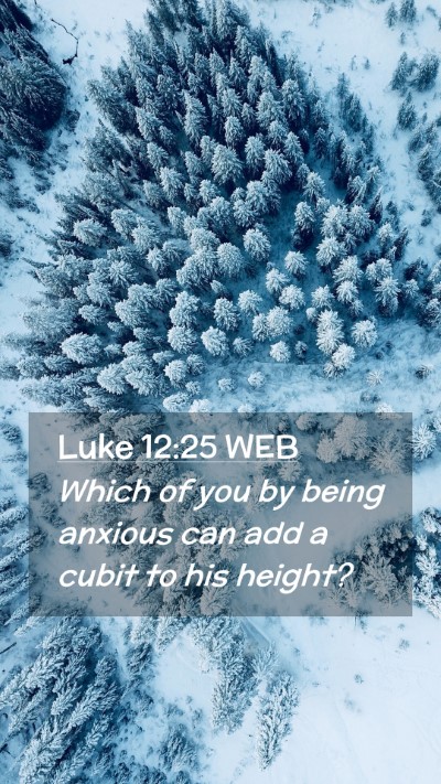 Picture 02 - Luke 12:25 WEB Mobile Phone Wallpaper - Which of you by being anxious can add a cubit to - Mobile Bible Verse Wallpaper