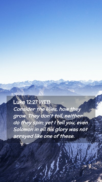 Picture 02 - Luke 12:27 WEB Mobile Phone Wallpaper - Consider the lilies, how they grow. They don't - Mobile Bible Verse Wallpaper