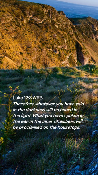 Picture 02 - Luke 12:3 WEB Mobile Phone Wallpaper - Therefore whatever you have said in the darkness - Mobile Bible Verse Wallpaper