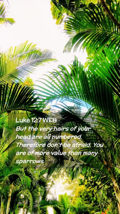 Picture 02 - Luke 12:7 WEB Mobile Phone Wallpaper - But the very hairs of your head are all numbered. - Mobile Bible Verse Wallpaper
