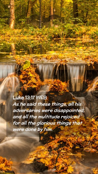 Picture 02 - Luke 13:17 WEB Mobile Phone Wallpaper - As he said these things, all his adversaries were - Mobile Bible Verse Wallpaper