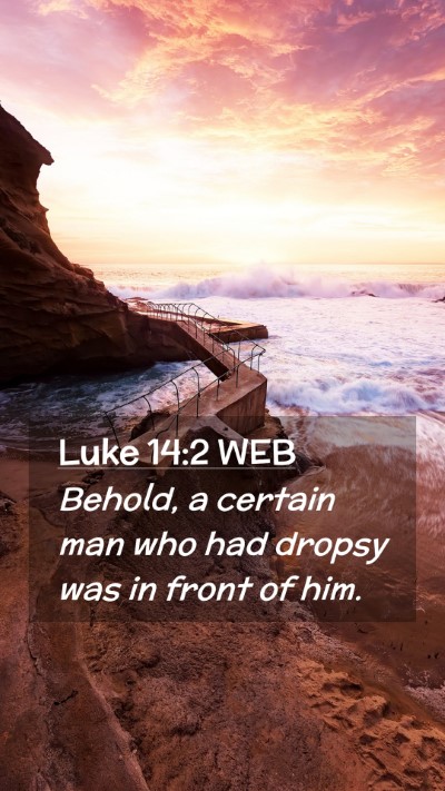 Picture 02 - Luke 14:2 WEB Mobile Phone Wallpaper - Behold, a certain man who had dropsy was in front - Mobile Bible Verse Wallpaper