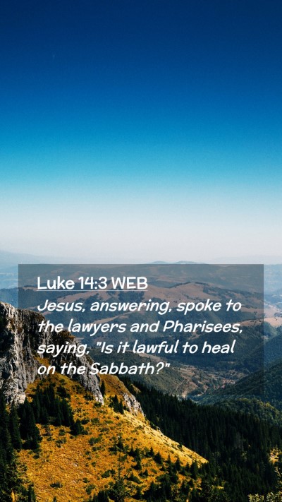 Picture 02 - Luke 14:3 WEB Mobile Phone Wallpaper - Jesus, answering, spoke to the lawyers and - Mobile Bible Verse Wallpaper