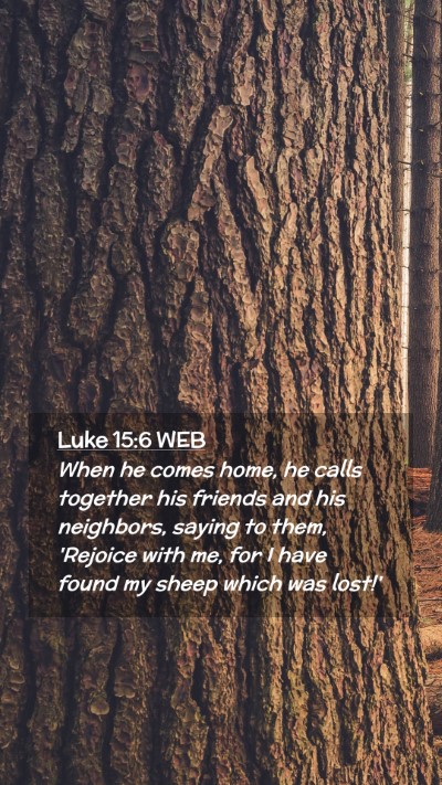 Picture 02 - Luke 15:6 WEB Mobile Phone Wallpaper - When he comes home, he calls together his friends - Mobile Bible Verse Wallpaper