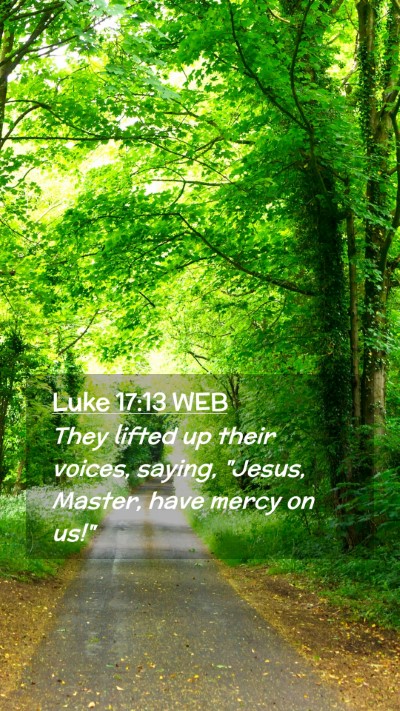 Picture 02 - Luke 17:13 WEB Mobile Phone Wallpaper - They lifted up their voices, saying, 