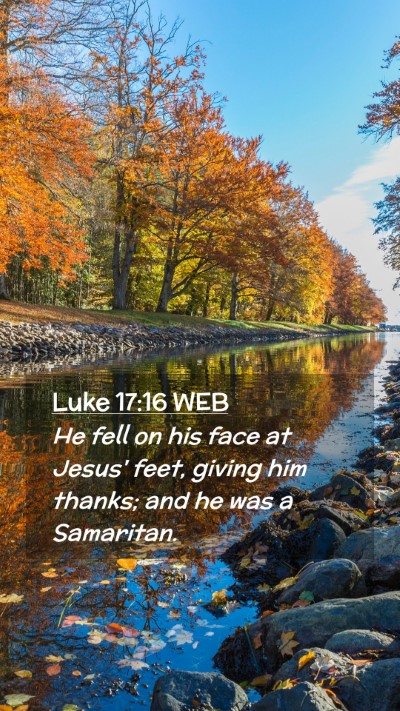 Picture 02 - Luke 17:16 WEB Mobile Phone Wallpaper - He fell on his face at Jesus' feet, giving him - Mobile Bible Verse Wallpaper