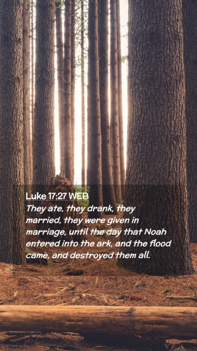 Picture 02 - Luke 17:27 WEB Mobile Phone Wallpaper - They ate, they drank, they married, they were - Mobile Bible Verse Wallpaper