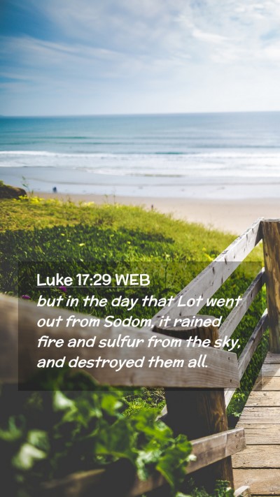 Picture 02 - Luke 17:29 WEB Mobile Phone Wallpaper - but in the day that Lot went out from Sodom, it - Mobile Bible Verse Wallpaper