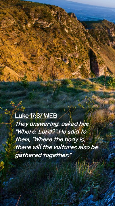 Picture 02 - Luke 17:37 WEB Mobile Phone Wallpaper - They answering, asked him, 