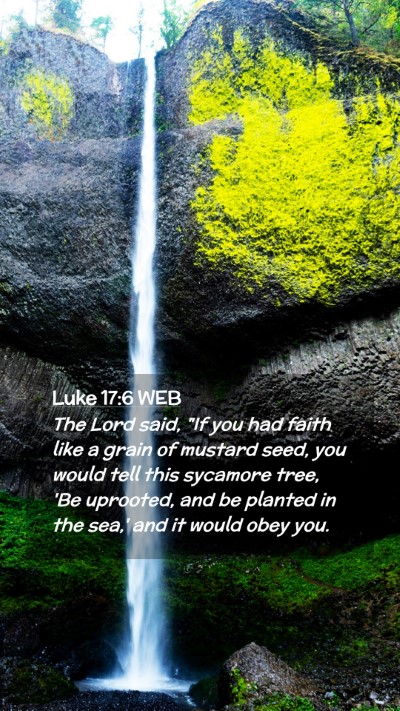 Picture 02 - Luke 17:6 WEB Mobile Phone Wallpaper - The Lord said, 