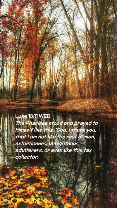 Picture 02 - Luke 18:11 WEB Mobile Phone Wallpaper - The Pharisee stood and prayed to himself like - Mobile Bible Verse Wallpaper