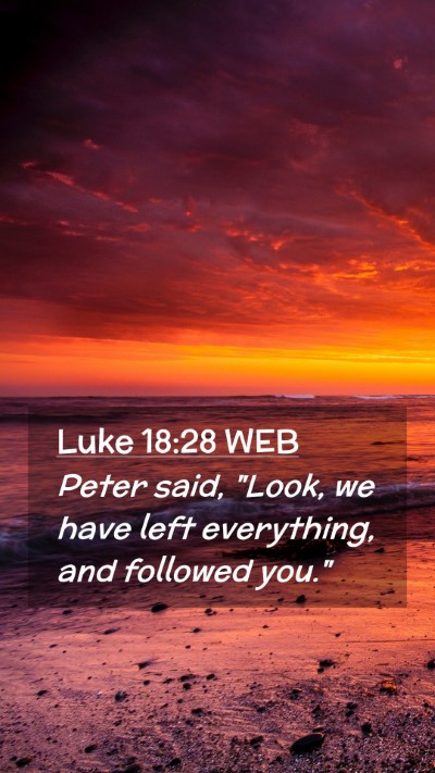 Picture 02 - Luke 18:28 WEB Mobile Phone Wallpaper - Peter said, 