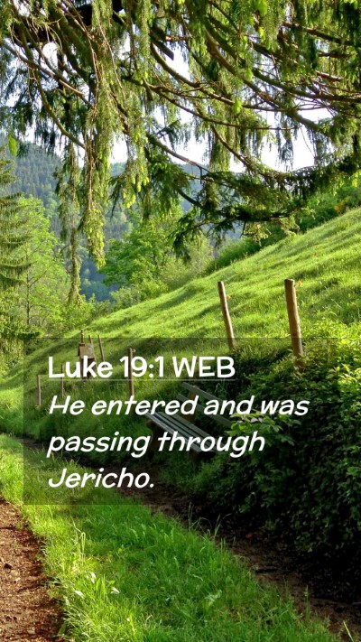 Picture 02 - Luke 19:1 WEB Mobile Phone Wallpaper - He entered and was passing through - Mobile Bible Verse Wallpaper