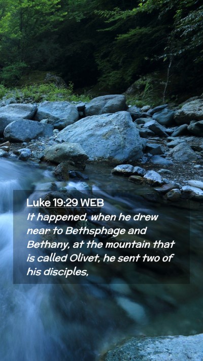 Picture 02 - Luke 19:29 WEB Mobile Phone Wallpaper - It happened, when he drew near to Bethsphage and - Mobile Bible Verse Wallpaper